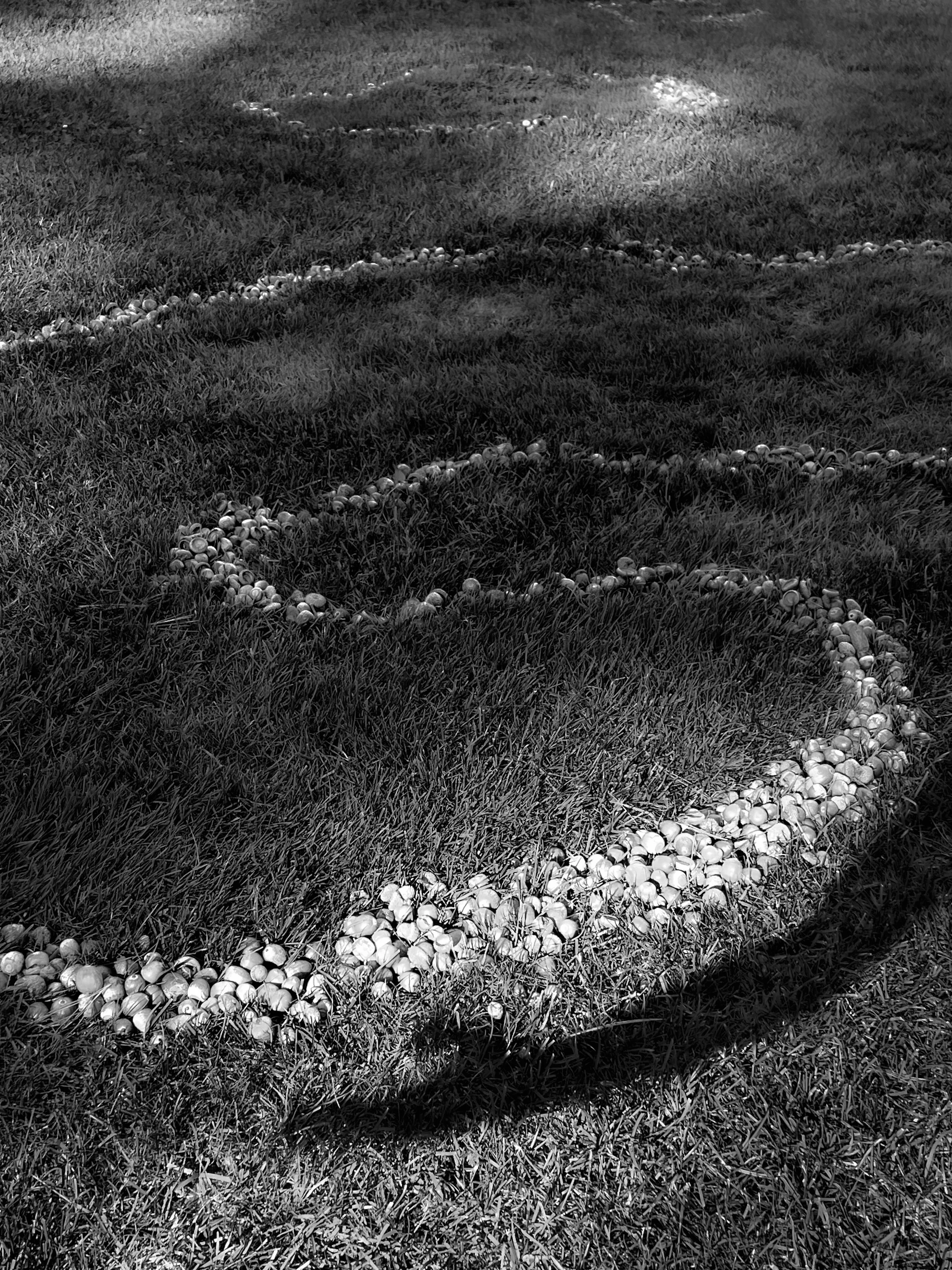 Hugging Shadows