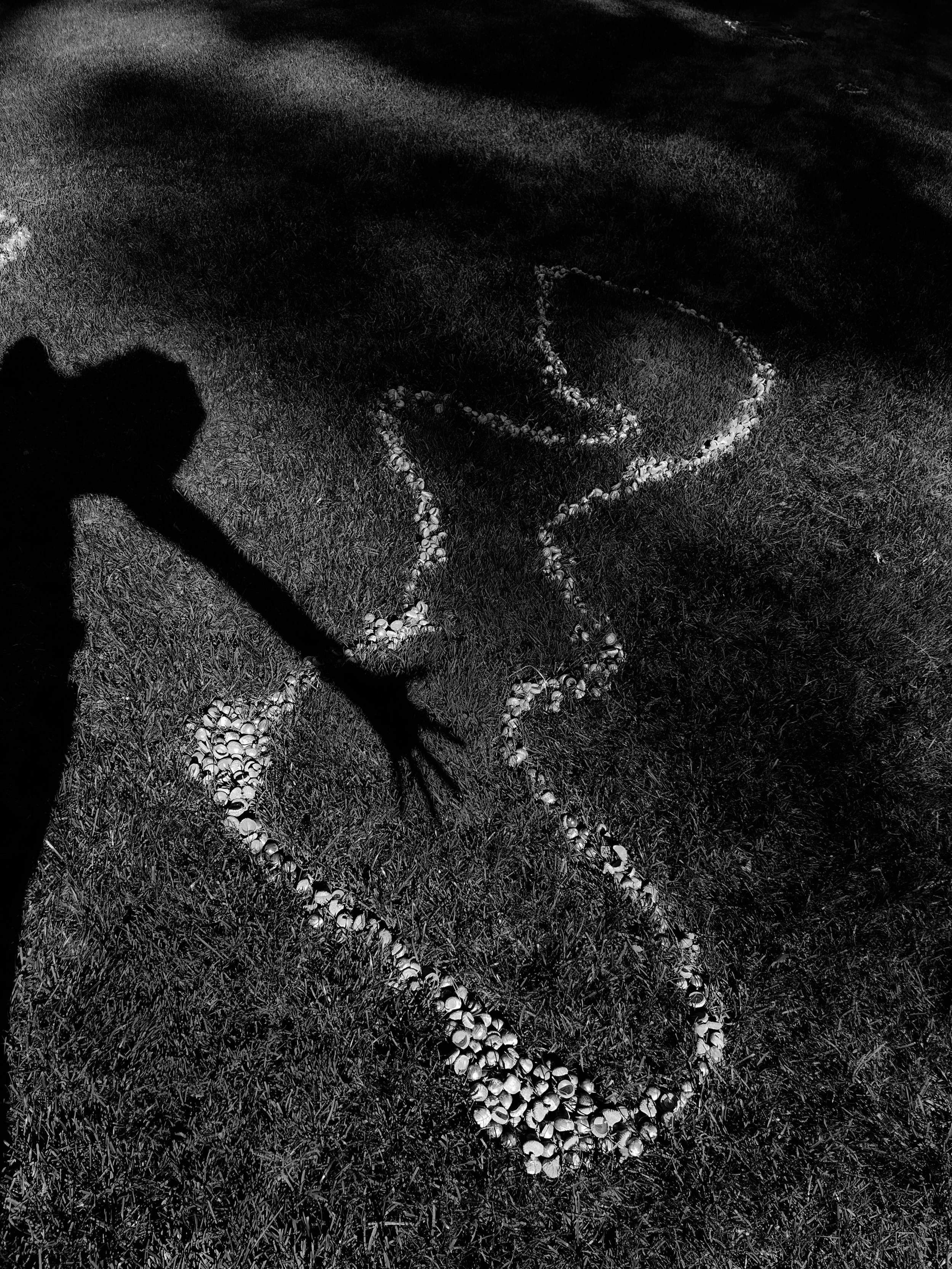 Hugging Shadows