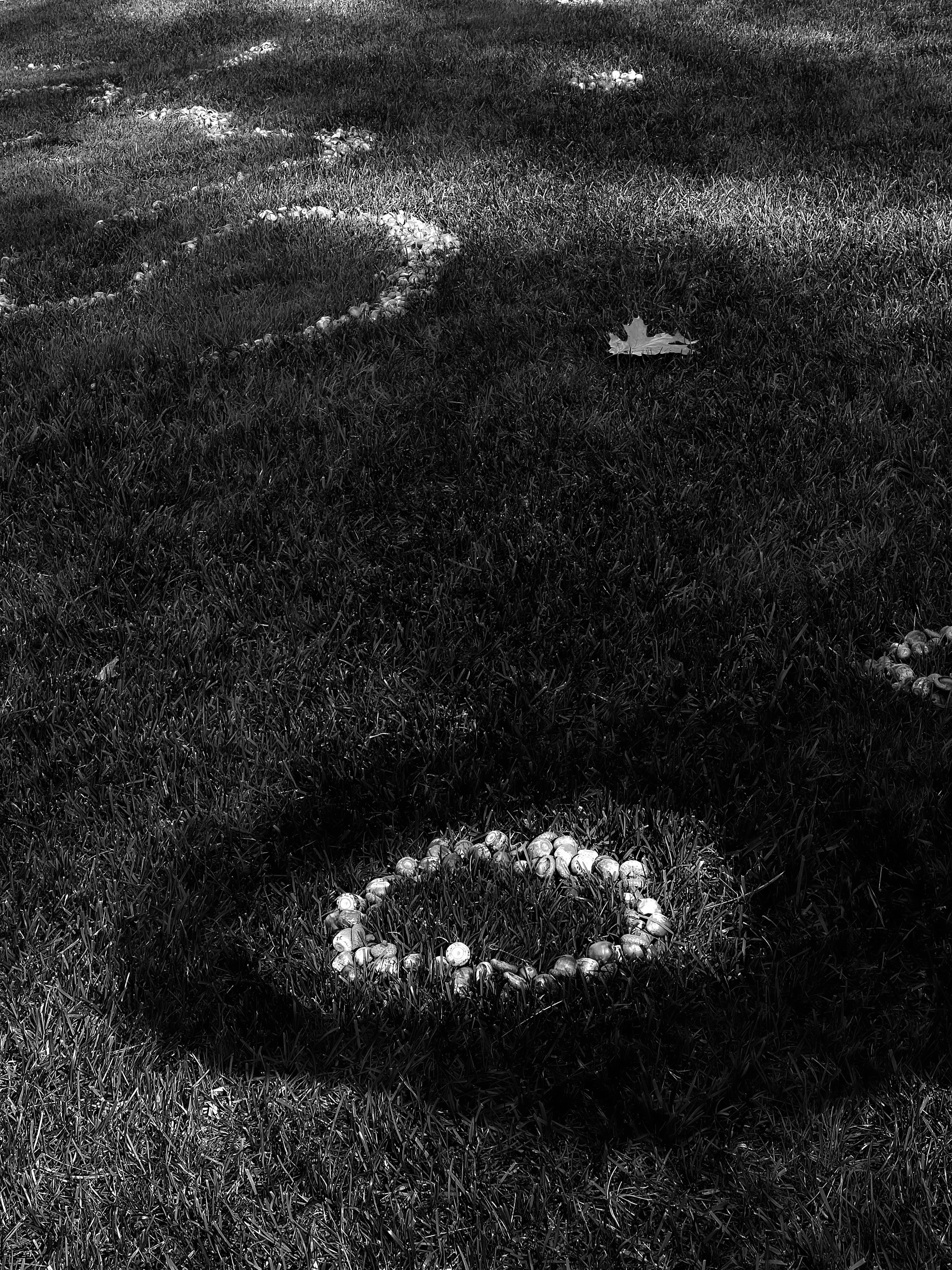 Hugging Shadows