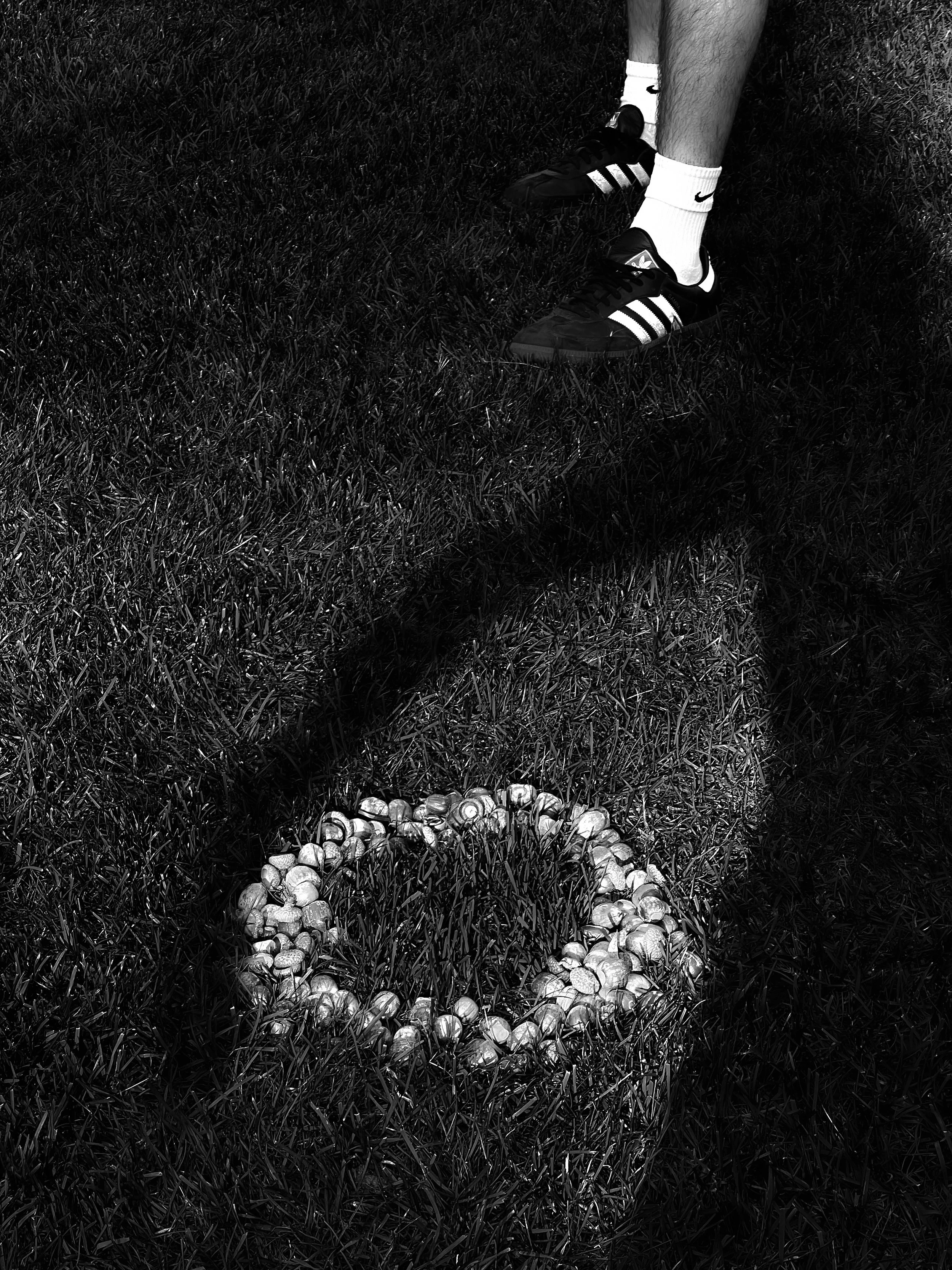 Hugging Shadows