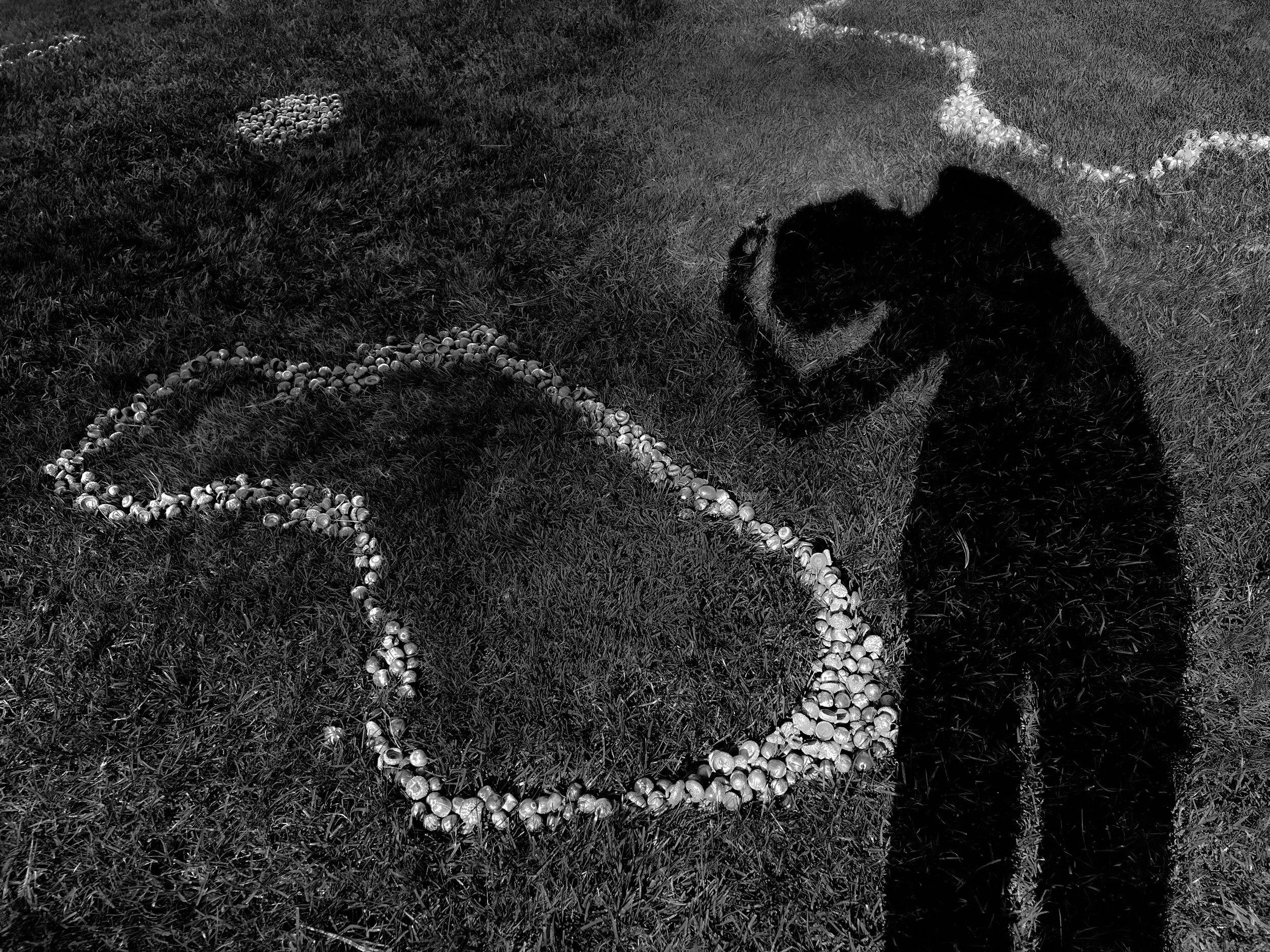 Hugging Shadows