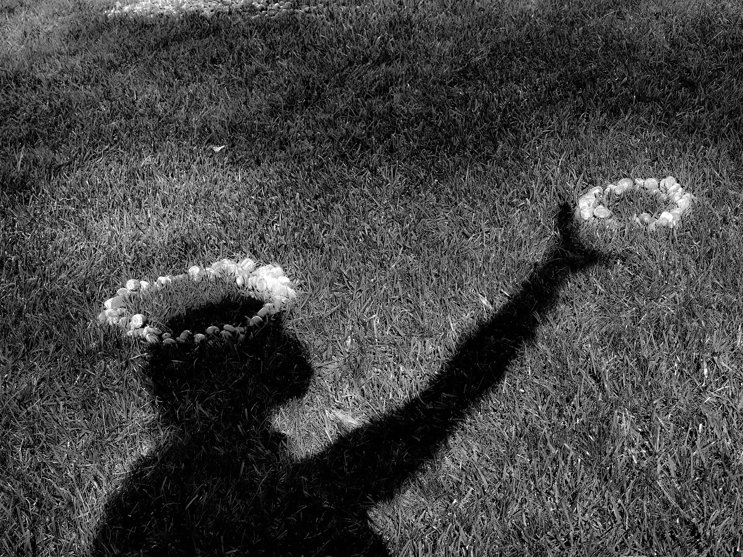 Hugging Shadows