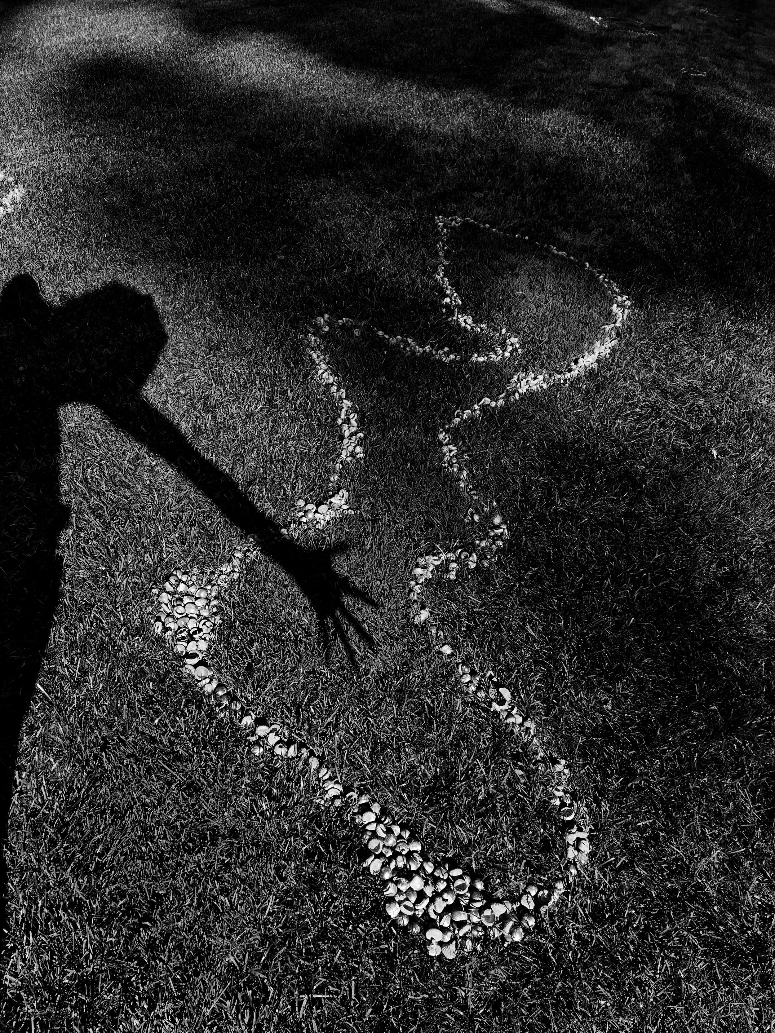 Hugging Shadows